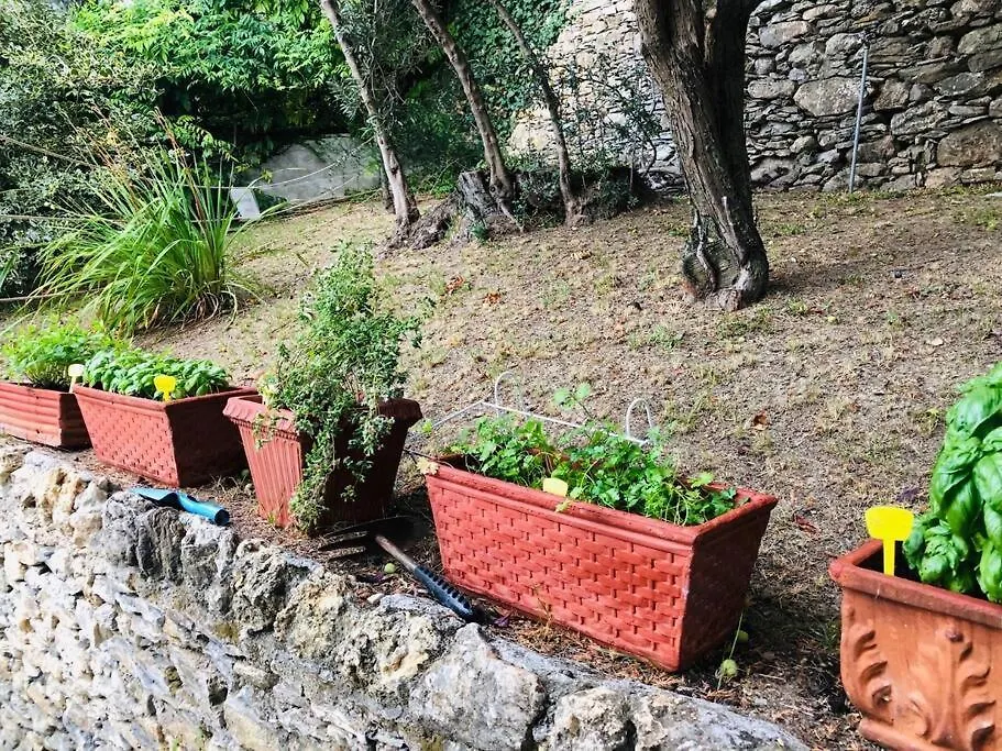 Sea South Front Property1/2Acre.Gardens Pool Hydro Pieve Ligure